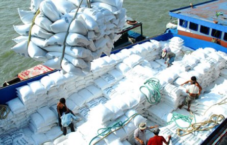  Lúa rớt giá, vẫn chưa tạm trữ 